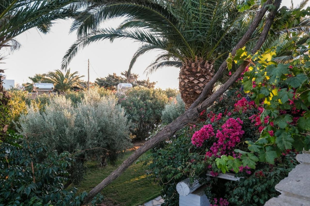 Golden Beach Studios & Suites Tínos Dış mekan fotoğraf