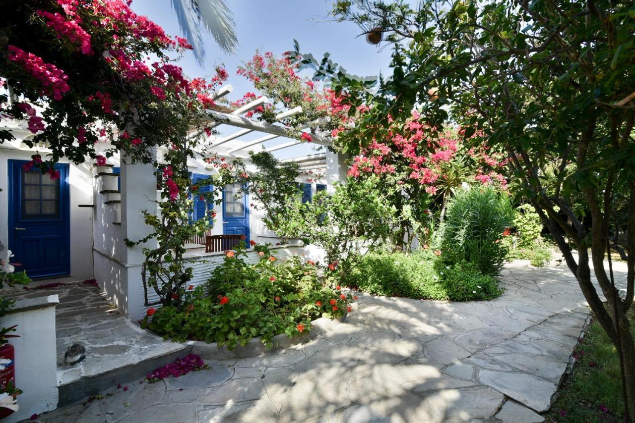 Golden Beach Studios & Suites Tínos Dış mekan fotoğraf