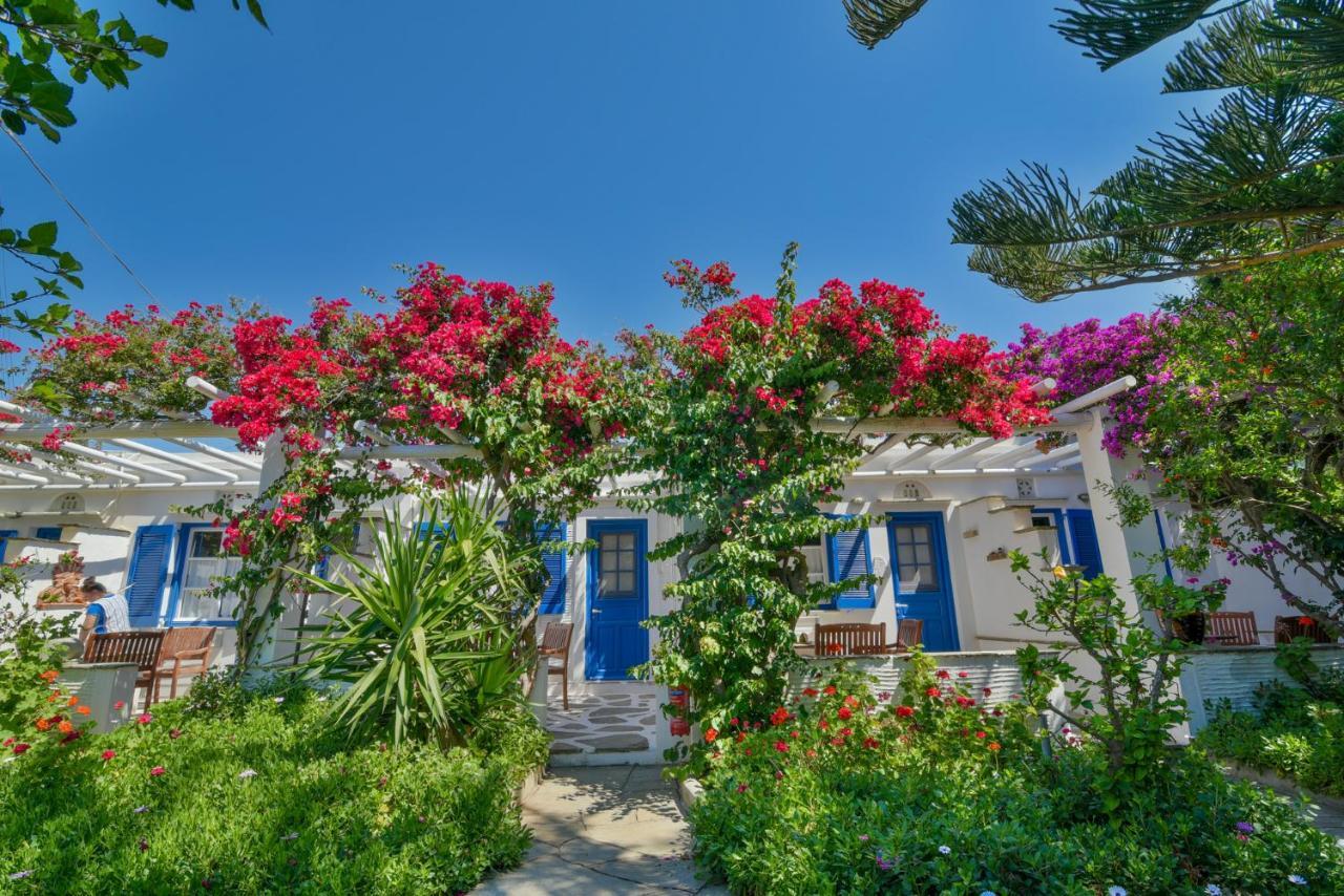 Golden Beach Studios & Suites Tínos Dış mekan fotoğraf
