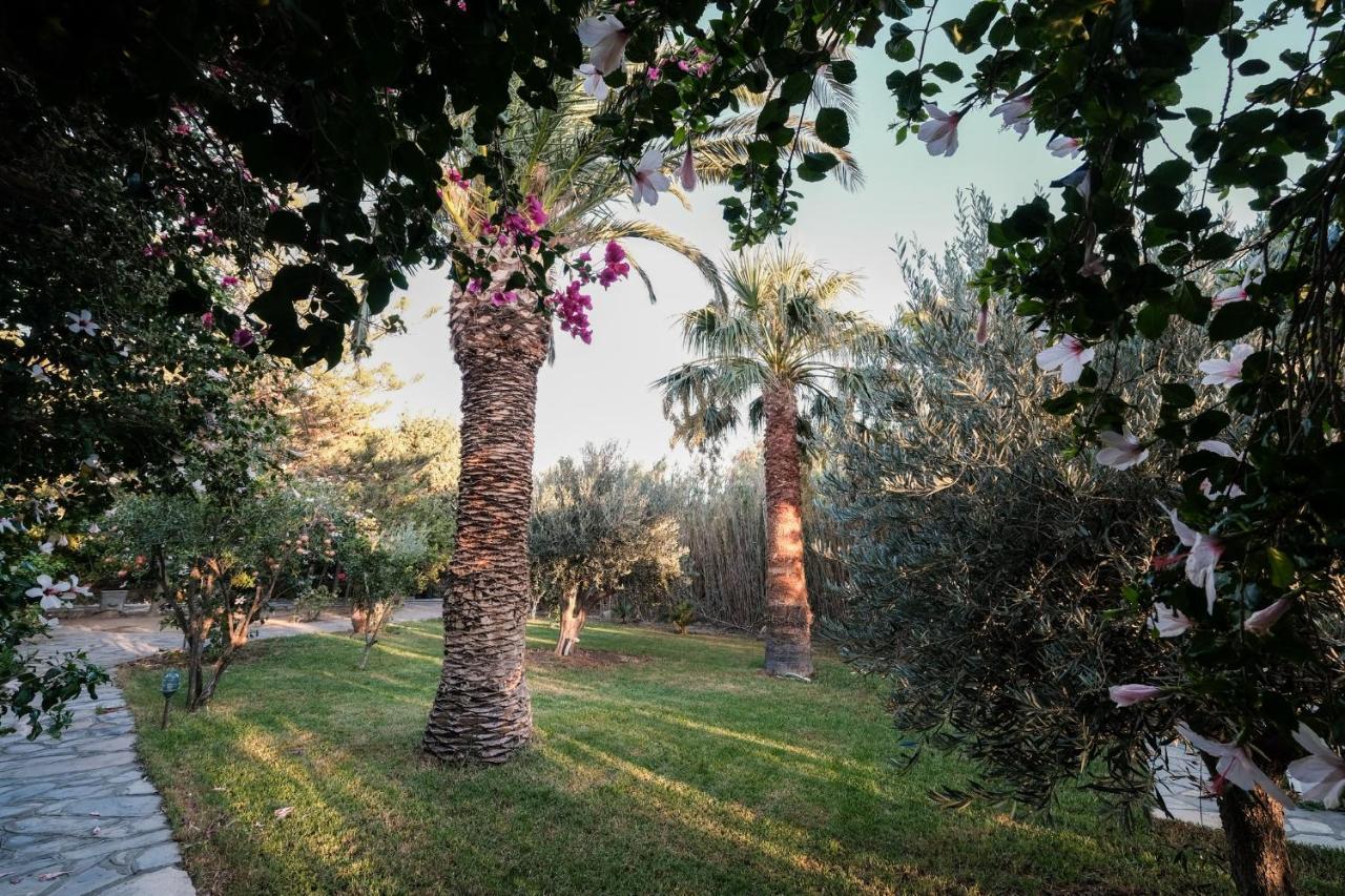 Golden Beach Studios & Suites Tínos Dış mekan fotoğraf
